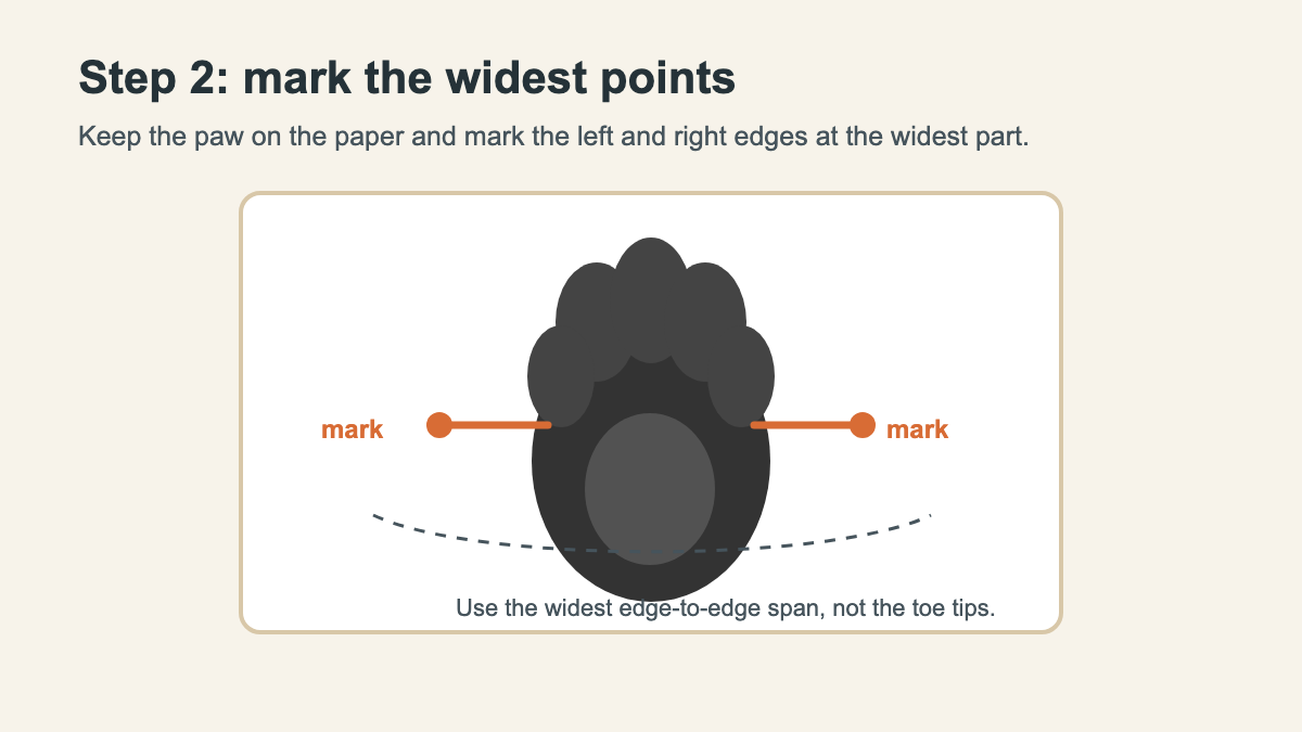 Original top-view diagram showing the widest points on a dog paw