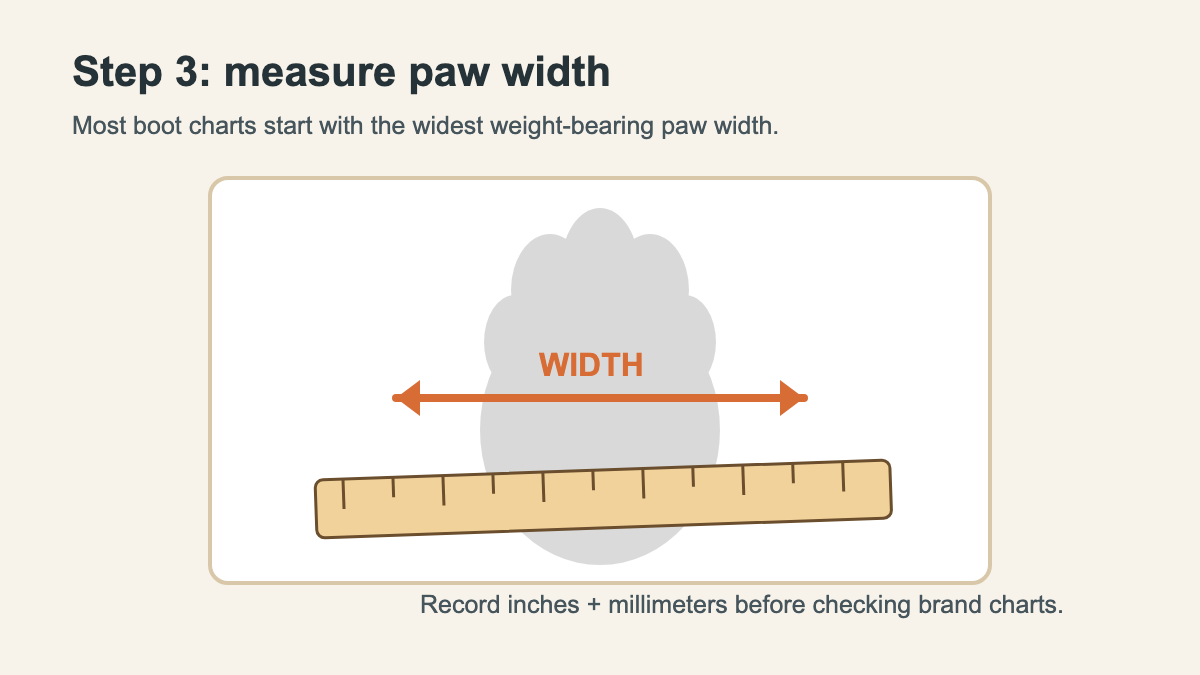 Original diagram showing paw width measurement for dog boots